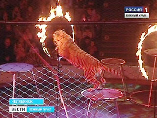 ���� ���� �������� ������� �� �������� � ���������