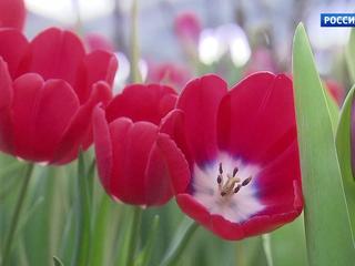 �����-������. ���� �� 26 ������� 2018 ���� (14:40)