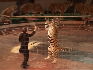 ����������� ���� ���������� �������� �� ��� �������