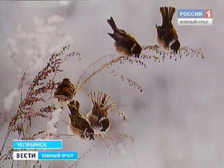 ������� �������� - 2011 ������� ������ ���������� ��������� ���