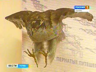 � ����� �������� ���������� ��������� �������� ��������
