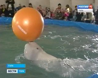 � ���� � ���������� ������� ����������� 