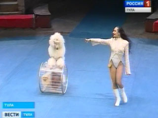 � ���� ������ ���� ������