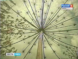 ����������� ���������� � ������� ������� - �������� �������� � �������� ��������������