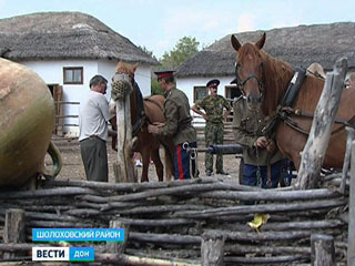В хуторе Кружилинском Ростовской области прошел литературно-этнографический праздник В хуторе Кружилинском Ростовской области прошел литературно-этнографический праздник