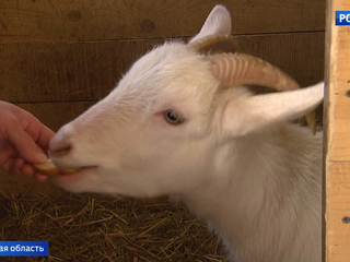 �����-������. ���� �� 21 ����� 2018 ���� (11:40)